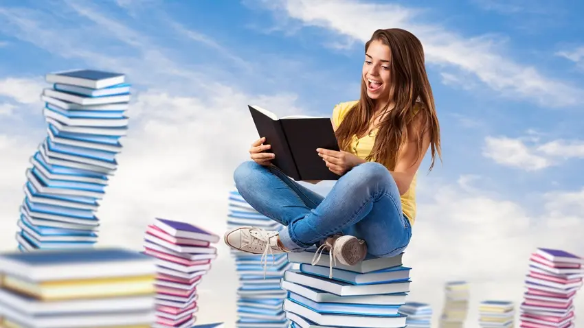 Hollanda SAT Sınav Puanı Ortalamaları · Dream Big
