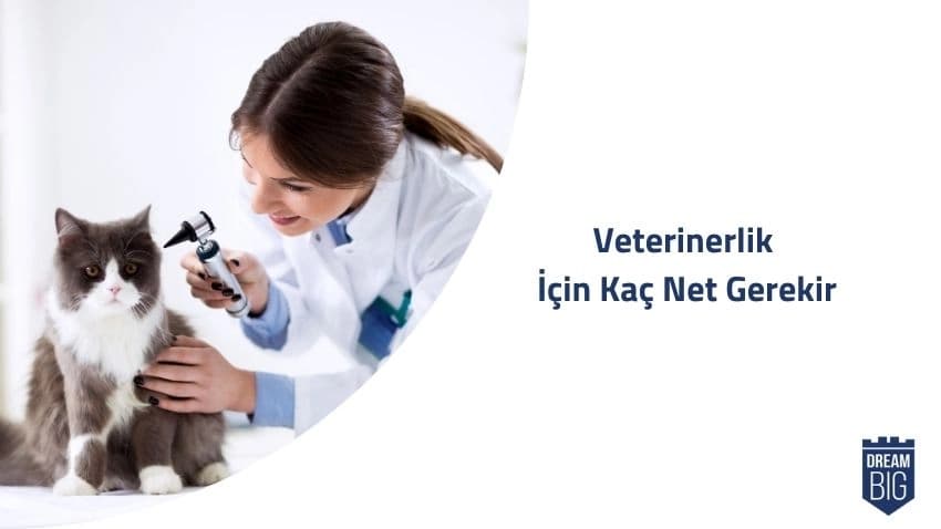 Veterinerlik İçin Kaç Net Gerekir · Dream Big