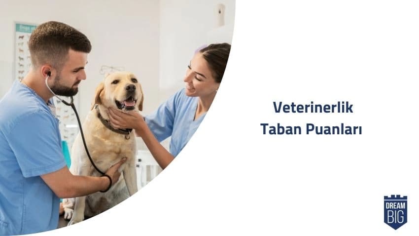 Veterinerlik 2024 Taban Puanları ve Başarı Sıralamaları · Dream Big