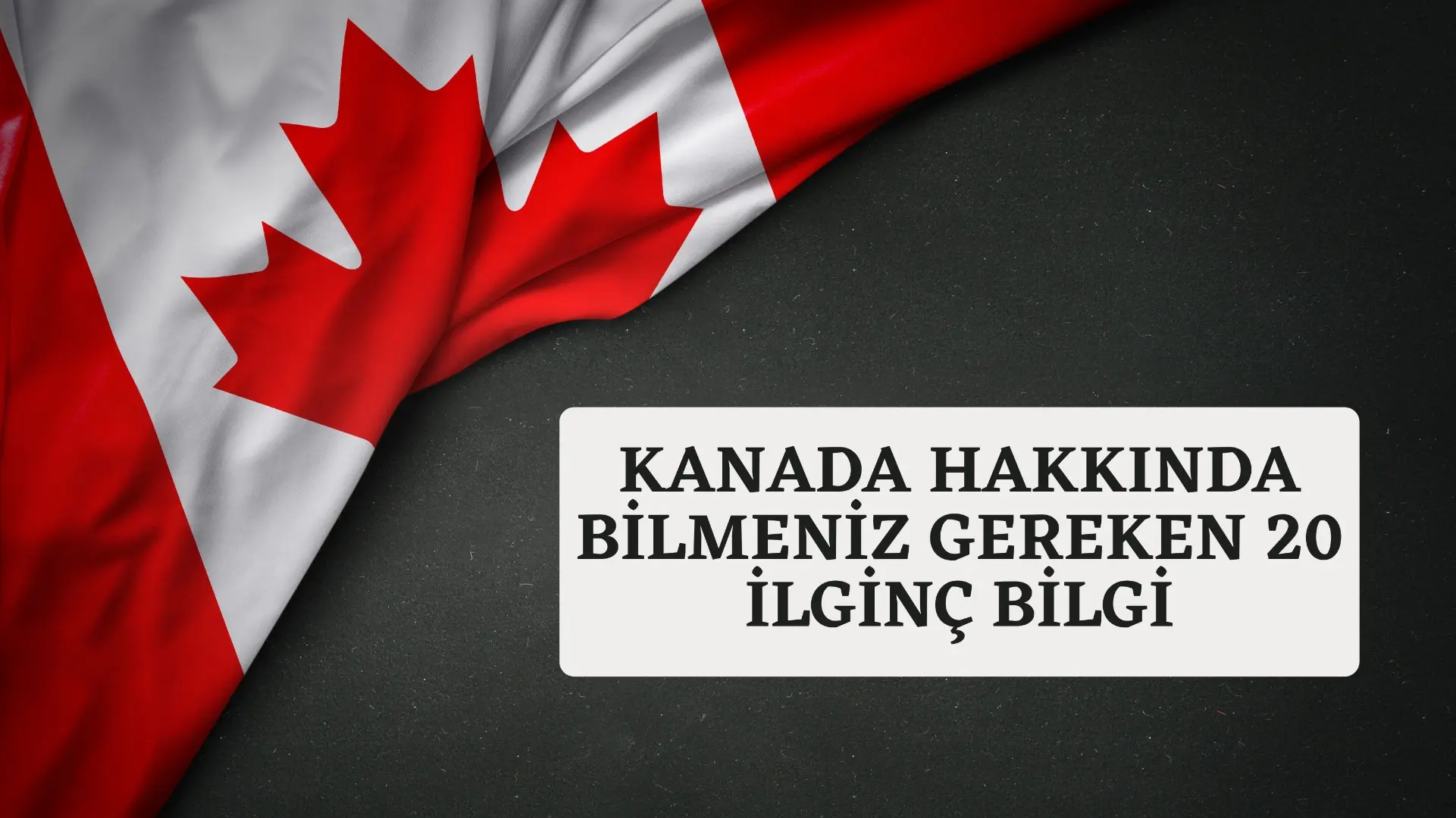 Kanada Hakkında Bilmeniz Gereken 20 İlginç Bilgi · Dream Big