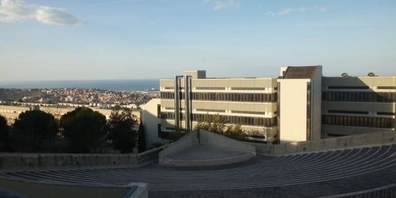 Marche Polytechnic University