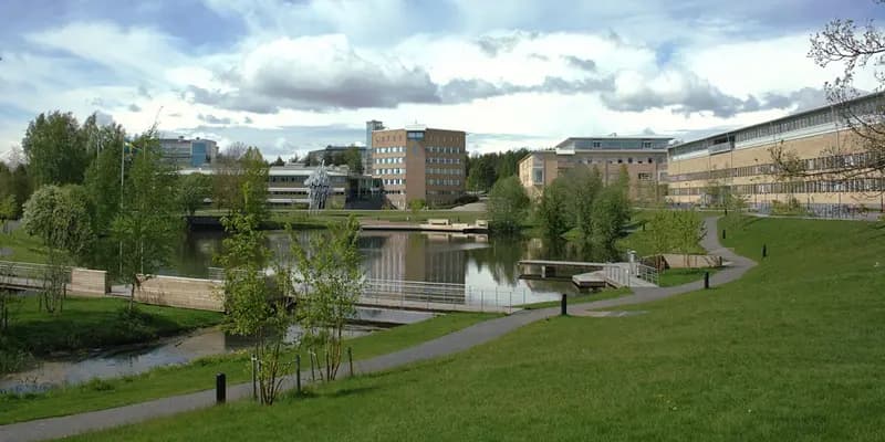 Umeå University