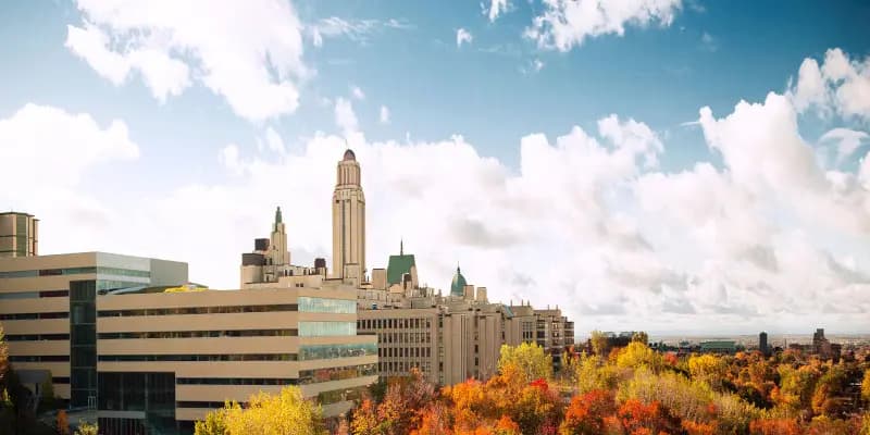 Université de Montréal
