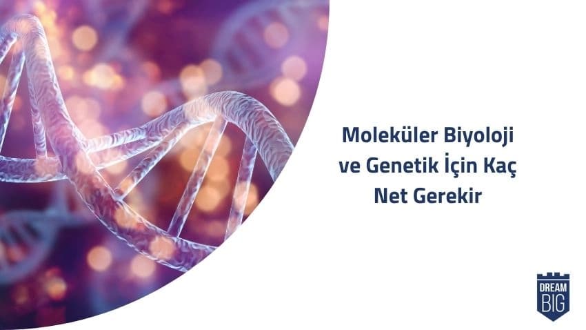 Moleküler Biyoloji ve Genetik İçin Kaç Net Gerekir · Dream Big