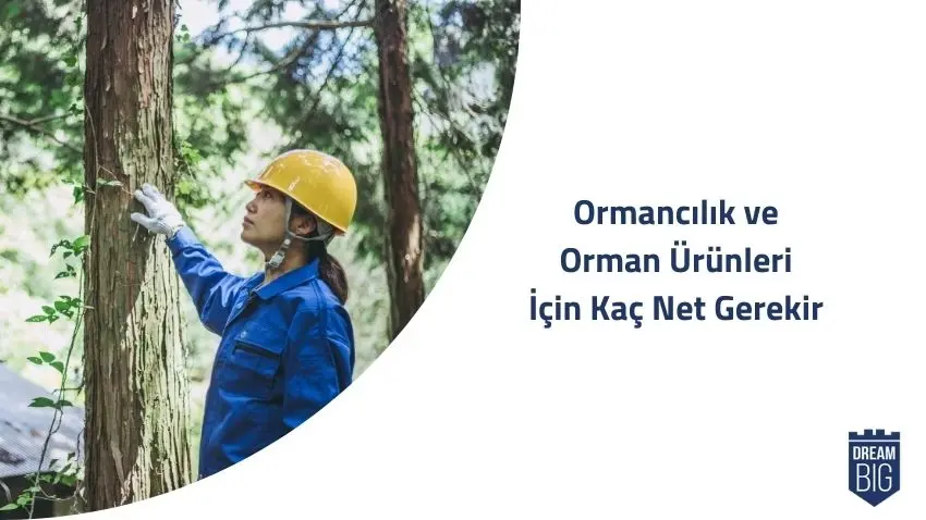 Ormancılık ve Orman Ürünleri İçin Kaç Net Gerekir · Dream Big