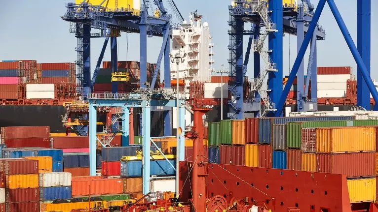 2023 Lojistik Yönetimi Taban Puanları ve Başarı Sıralamaları · Dream Big