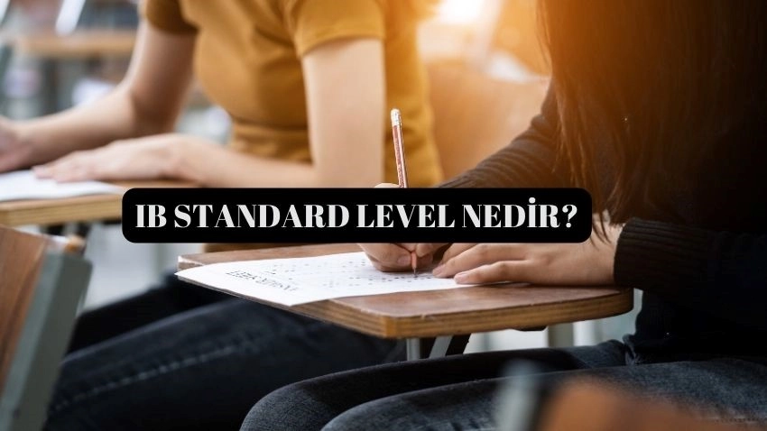 IB Standard Level Nedir? · Dream Big