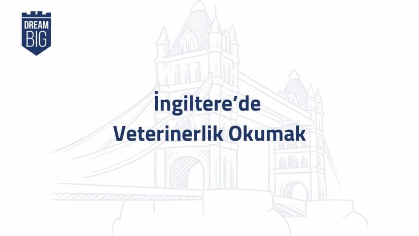 İngiltere'de Veterinerlik Okumak · Dream Big