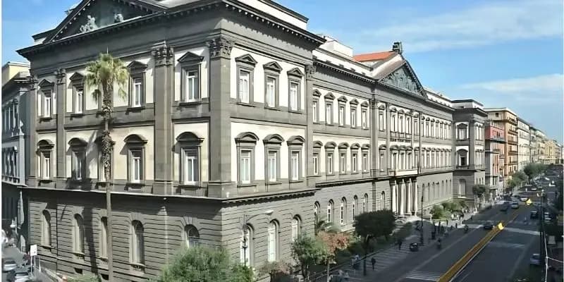 University of Naples Federico II