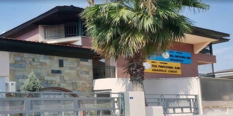 Profesyonel İlgim Koleji (PİK)