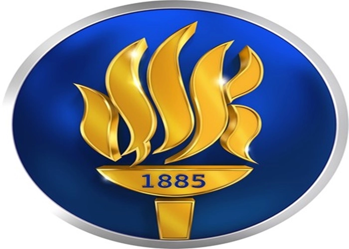 FMV Ispartakule Işık Lisesi logo