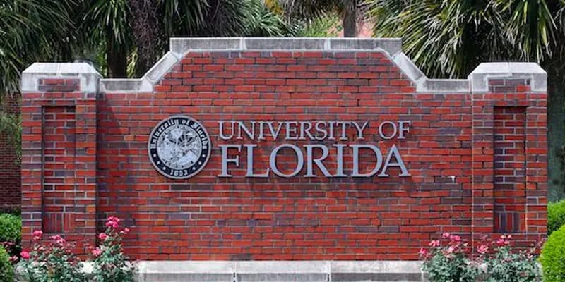University of Florida