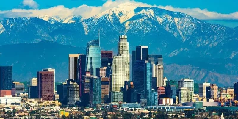 American Collegiate - Los Angeles