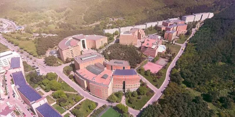 Yeditepe Üniversitesi