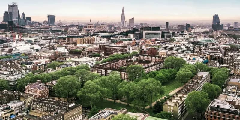 Hult International Business School