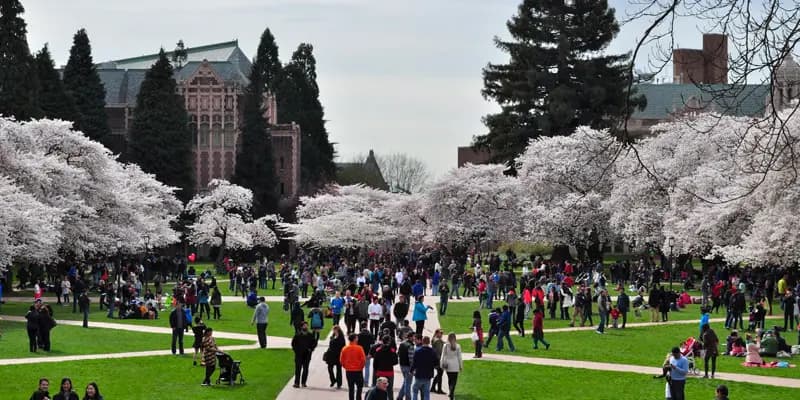 University of Washington (UW)